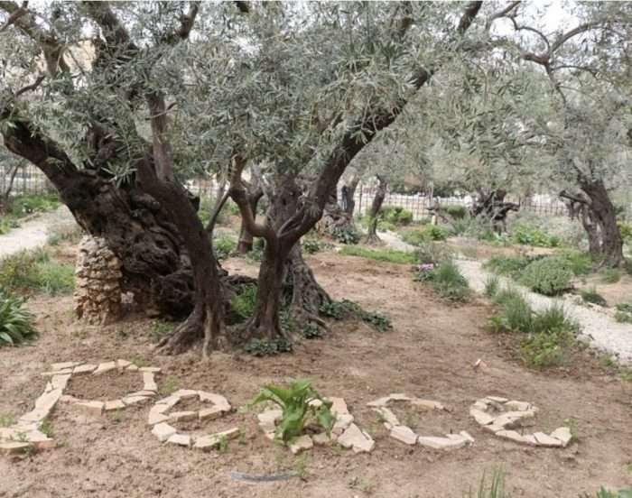 PELERINAJ IN ISRAEL - imagine 32