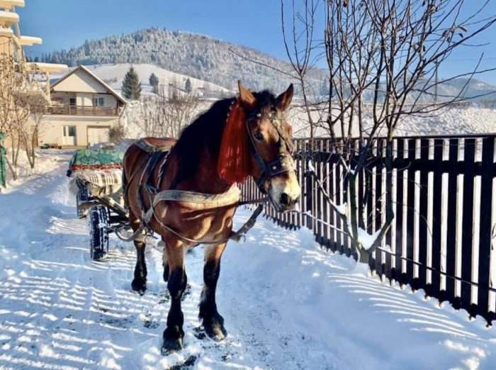 Revelion în Bucovina 2025 - imagine 3