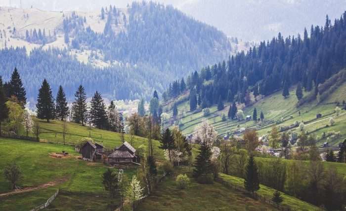 Pelerinaj în Bucovina - imagine 8