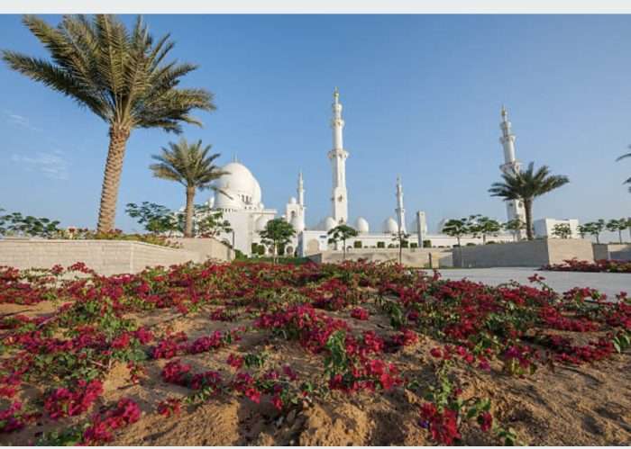 Rasfat in Dubai si Abu Dhabi - imagine 21