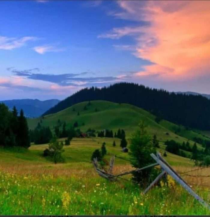 Pelerinaj în Bucovina