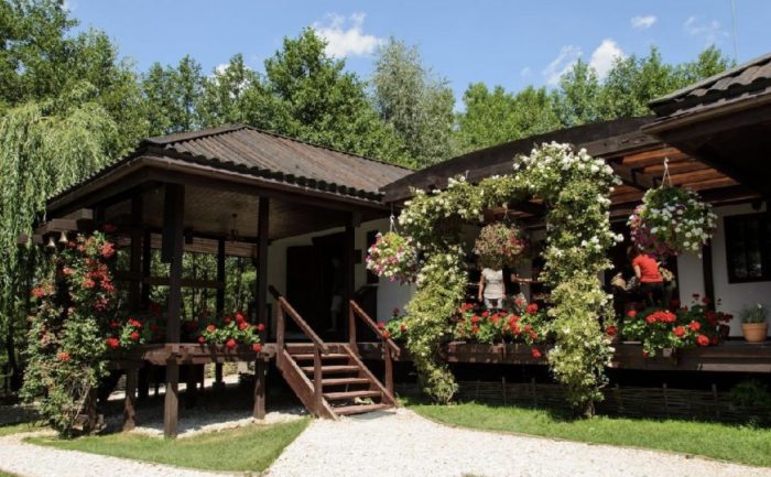 Pelerinaj de 1 zi La Manastirea Rupeasca Sinca Veche , Manastirea Sf Efrem cel Nou si Manastirea Brancoveanu – Sambata de Sus - imagine 4