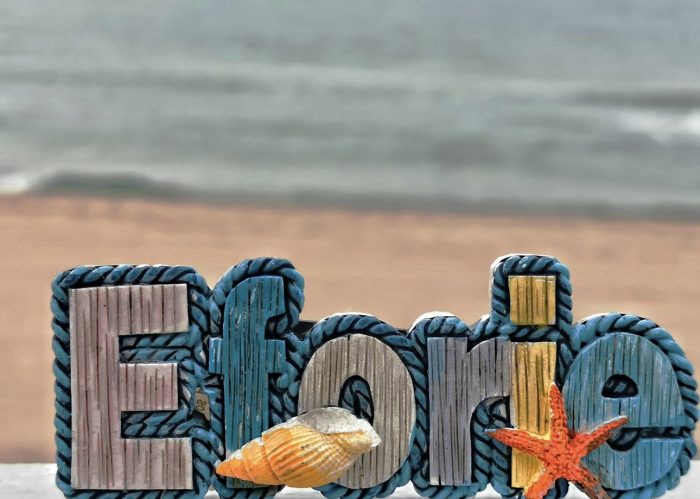 Excursie O zi la Eforie Nord - imagine 4