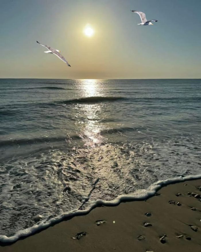 Excursie O zi la Eforie Nord - imagine 8