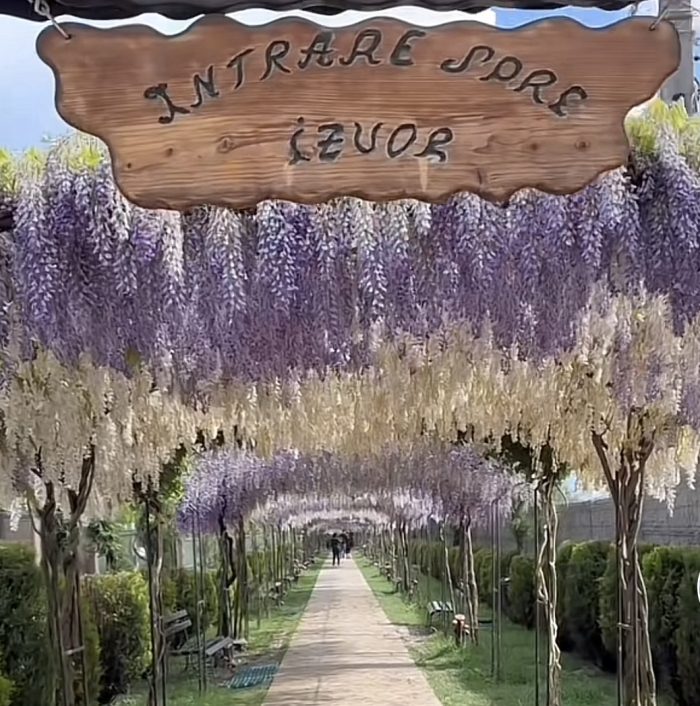 Pelerinaj 1 Zi la Manastirea Ghighiu si Salina Slanic Prahova - imagine 2