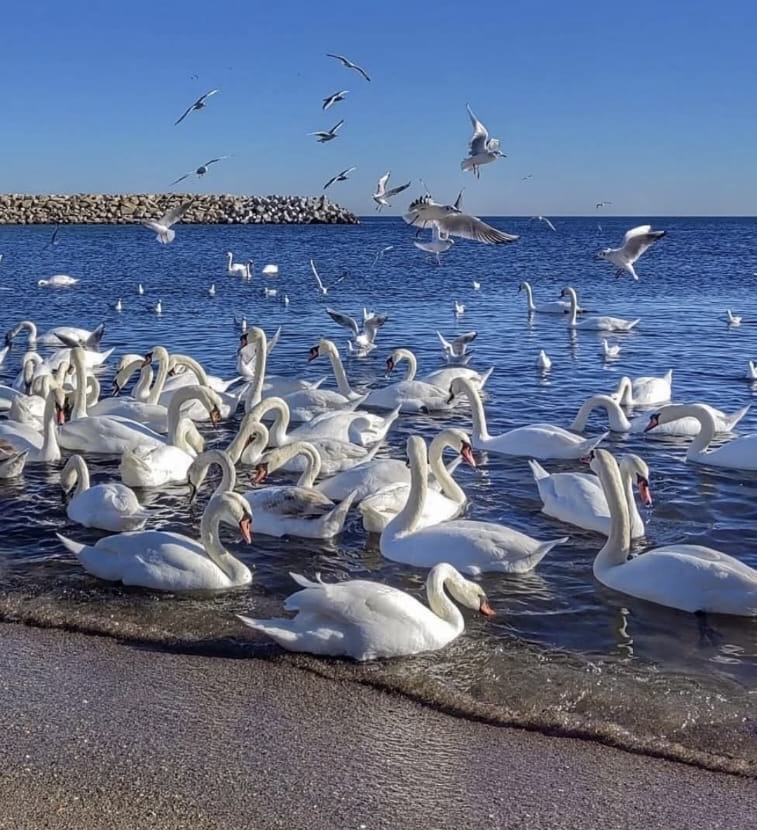 afcf6fa5 65e9 4322 8e40 3247662d8820