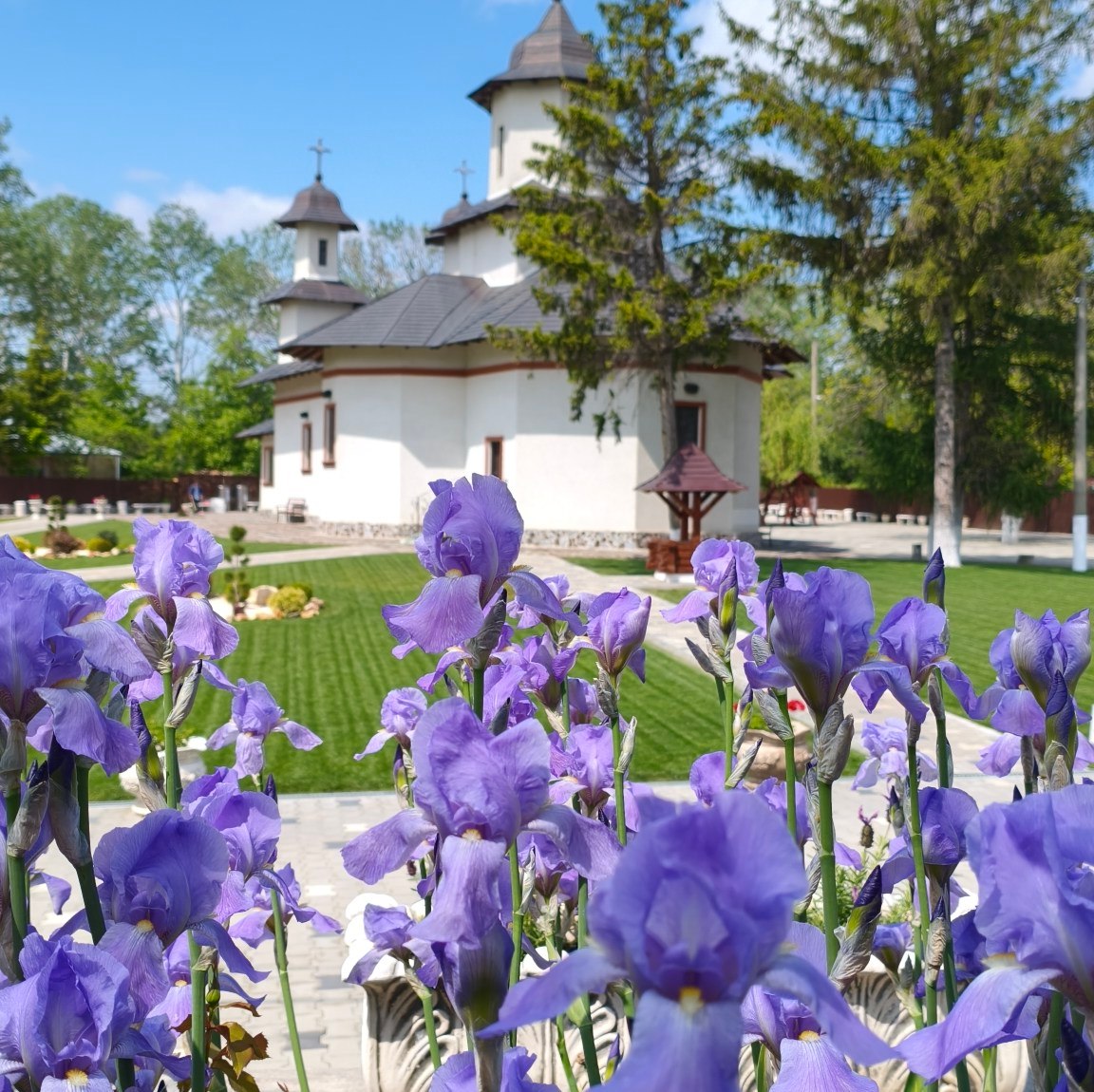 Pelerinaj la Parintele Argatu Stefan si Manastirea Sfanta Traime – Podul Bulgarului 4 Pelerinaj la Parintele Argatu Stefan si Manastirea Sfanta Traime – Podul Bulgarului - imagine 3
